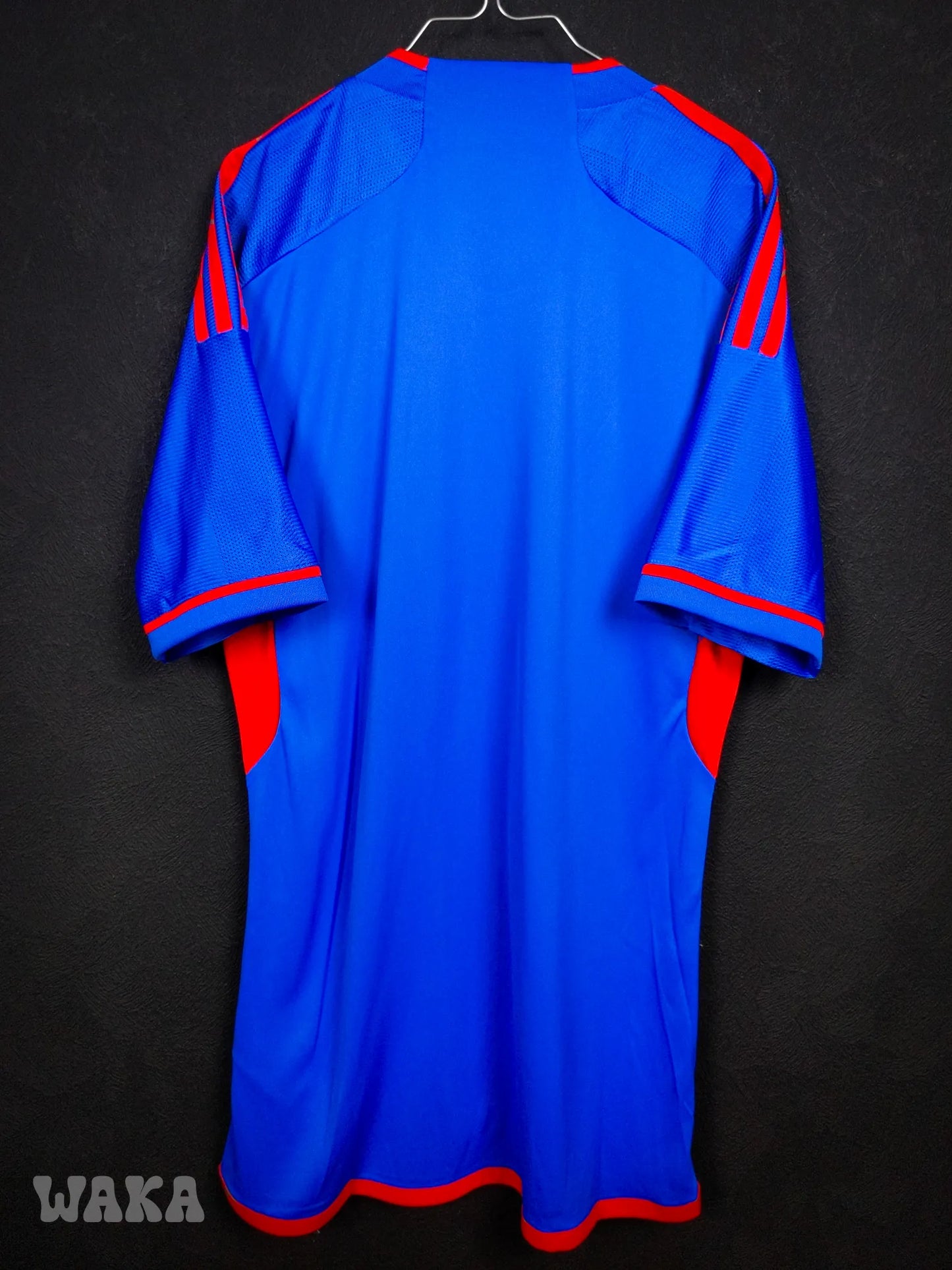 OL Olympique Lyonnais 2023/2024 - Away shirt - S *BNWT*