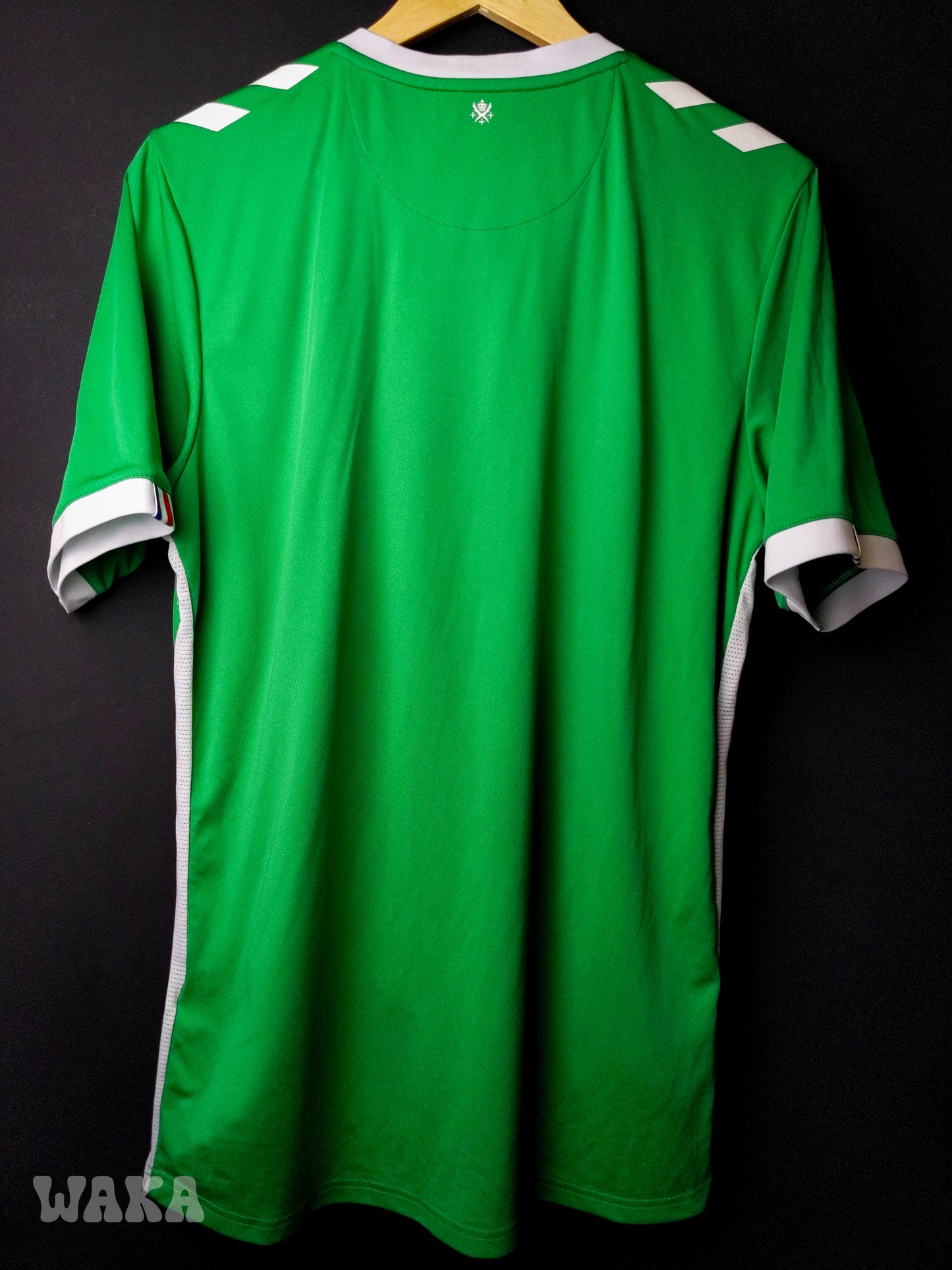 ASSE Saint-Etienne 2024/2025 - Home shirt - L