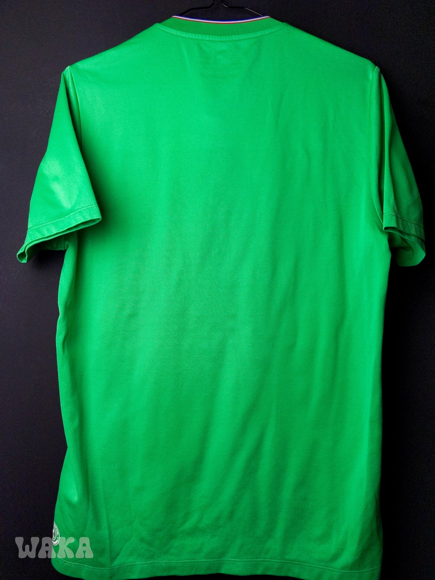 ASSE Saint-Etienne 2015/2016 - Home shirt - M