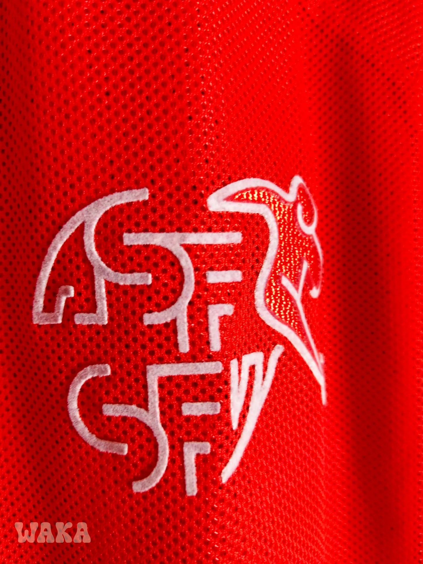 Suisse 2008/2009 - Home shirt - S