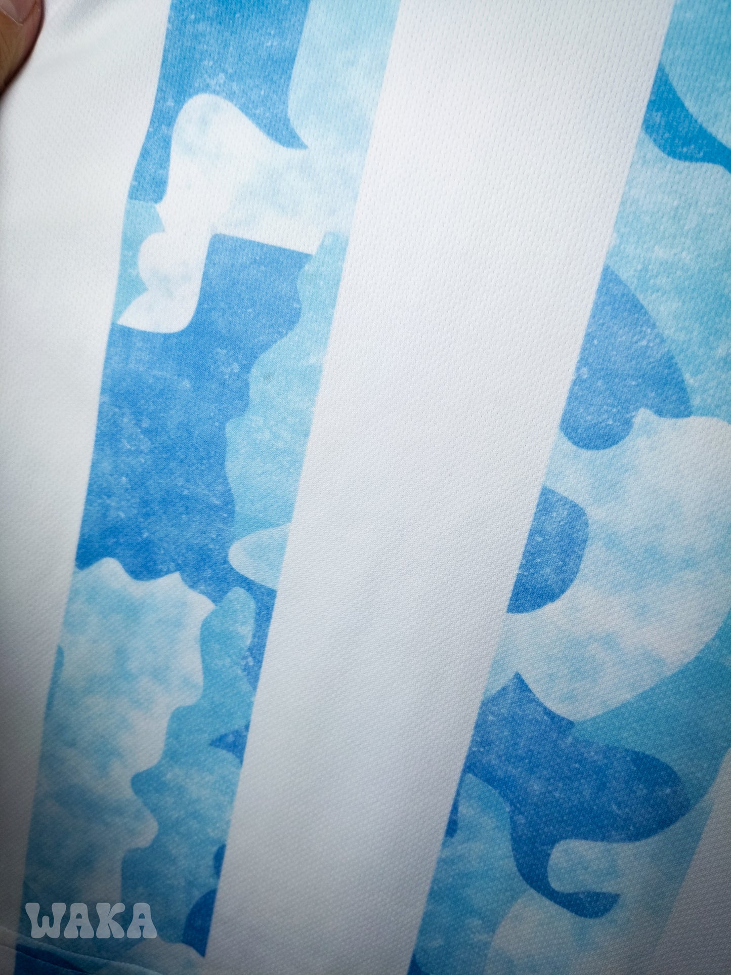 Argentine 2020 - Home shirt - M